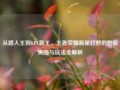 从路人王到KPL新王，王者荣耀新星打野的野区突围与玩法全解析