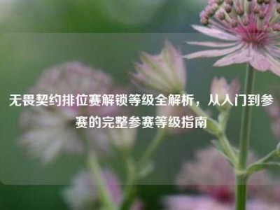 无畏契约排位赛解锁等级全解析，从入门到参赛的完整参赛等级指南