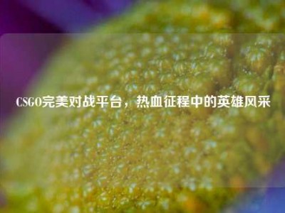 CSGO完美对战平台，热血征程中的英雄风采
