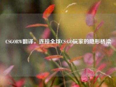 CSGORW翻译，连接全球CS:GO玩家的隐形桥梁