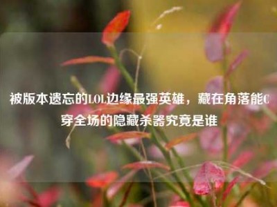 被版本遗忘的LOL边缘最强英雄，藏在角落能C穿全场的隐藏杀器究竟是谁