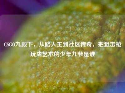 CSGO九殿下，从路人王到社区传奇，把狙击枪玩成艺术的少年九爷是谁