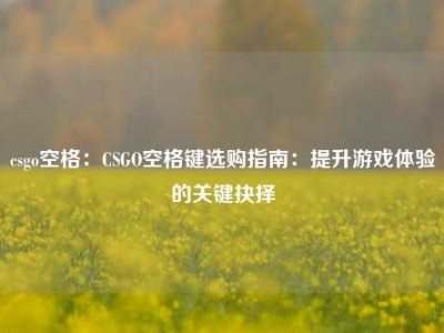 csgo空格：CSGO空格键选购指南：提升游戏体验的关键抉择