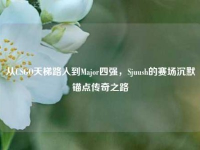 从CSGO天梯路人到Major四强，Sjuush的赛场沉默锚点传奇之路
