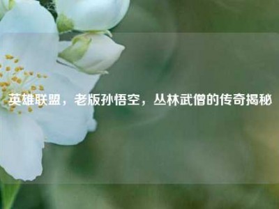 英雄联盟，老版孙悟空，丛林武僧的传奇揭秘