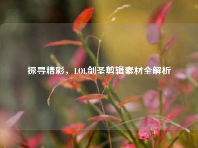 探寻精彩，LOL剑圣剪辑素材全解析