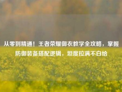 从零到精通！王者荣耀御衣教学全攻略，掌握防御装备搭配逻辑，坦度拉满不白给