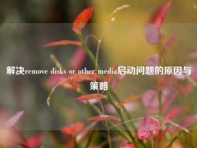 解决remove disks or other media启动问题的原因与策略