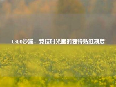 CSGO沙漏，竞技时光里的独特贴纸刻度