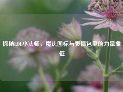 探秘LOL小法师，魔法图标与表情包里的力量象征