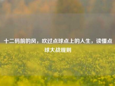 十二码前的风，吹过点球点上的人生，读懂点球大战规则