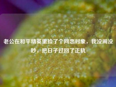 老公在和平精英里捡了个网恋对象，我没闹没吵，把日子过回了正轨