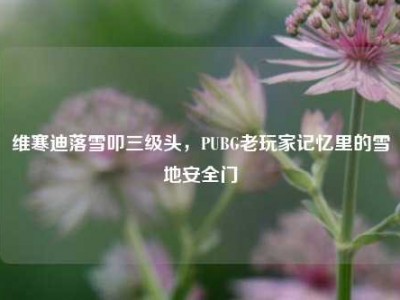 维寒迪落雪叩三级头，PUBG老玩家记忆里的雪地安全门
