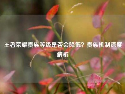 王者荣耀贵族等级是否会降低？贵族机制深度解析