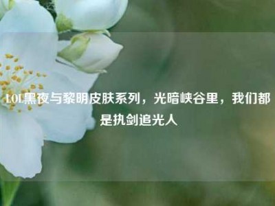 LOL黑夜与黎明皮肤系列，光暗峡谷里，我们都是执剑追光人