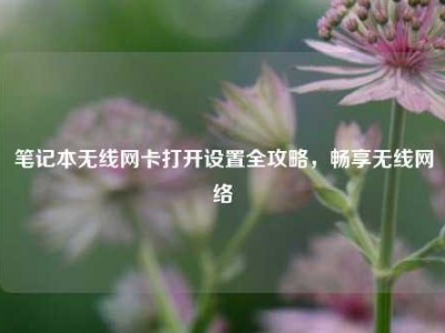 笔记本无线网卡打开设置全攻略，畅享无线网络