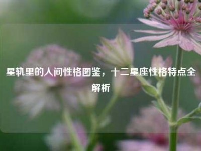星轨里的人间性格图鉴，十二星座性格特点全解析