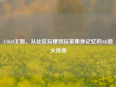 CSGO王姐，从社区玩梗到玩家集体记忆的AK烟火传奇