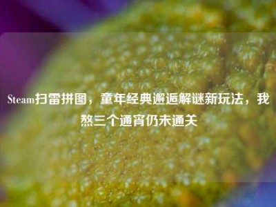 Steam扫雷拼图，童年经典邂逅解谜新玩法，我熬三个通宵仍未通关