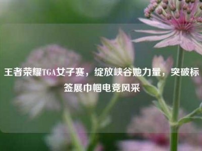 王者荣耀TGA女子赛，绽放峡谷她力量，突破标签展巾帼电竞风采