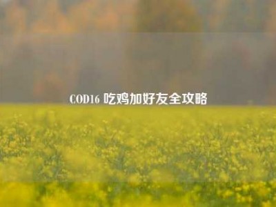 COD16 吃鸡加好友全攻略