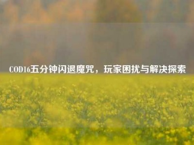 COD16五分钟闪退魔咒，玩家困扰与解决探索