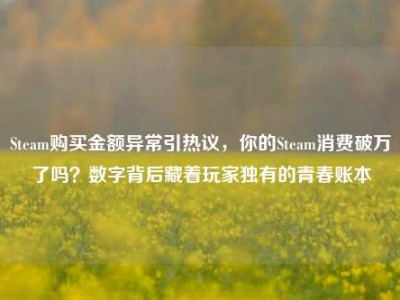 Steam购买金额异常引热议，你的Steam消费破万了吗？数字背后藏着玩家独有的青春账本