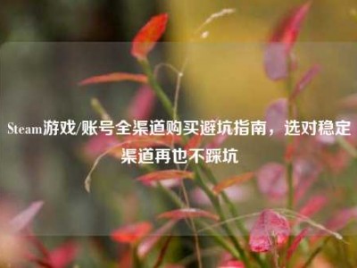 Steam游戏/账号全渠道购买避坑指南，选对稳定渠道再也不踩坑