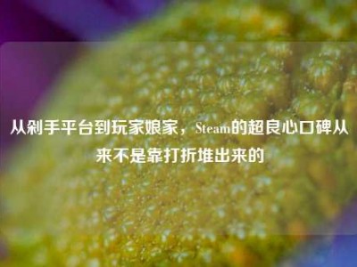 从剁手平台到玩家娘家，Steam的超良心口碑从来不是靠打折堆出来的