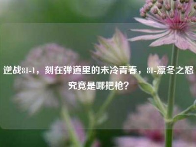 逆战81-1，刻在弹道里的未冷青春，81-凛冬之怒究竟是哪把枪？