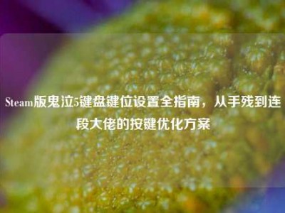 Steam版鬼泣5键盘键位设置全指南，从手残到连段大佬的按键优化方案
