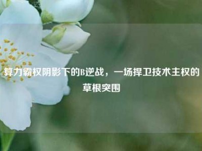 算力霸权阴影下的B逆战，一场捍卫技术主权的草根突围