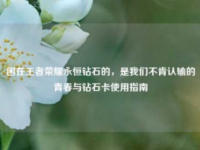 困在王者荣耀永恒钻石的，是我们不肯认输的青春与钻石卡使用指南