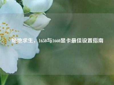 绝地求生，1650与1660显卡最佳设置指南