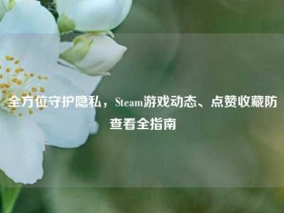全方位守护隐私，Steam游戏动态、点赞收藏防查看全指南