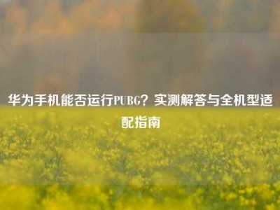 华为手机能否运行PUBG？实测解答与全机型适配指南