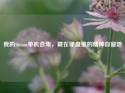 我的Steam单机合集，藏在硬盘里的精神自留地