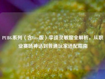PUBG系列（含Lite版）李逵灵敏度全解析，从职业赛场神话到普通玩家适配指南