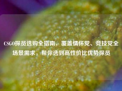 CSGO探员选购全指南，覆盖情怀党、竞技党全场景需求，帮你选到高性价比优势探员