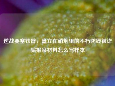 逆战要塞铁臂，矗立在硝烟里的不朽防线被诈骗报案材料怎么写样本