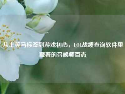 从上等马标签到游戏初心，LOL战绩查询软件里藏着的召唤师百态