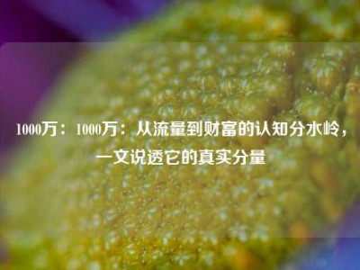 1000万：1000万：从流量到财富的认知分水岭，一文说透它的真实分量