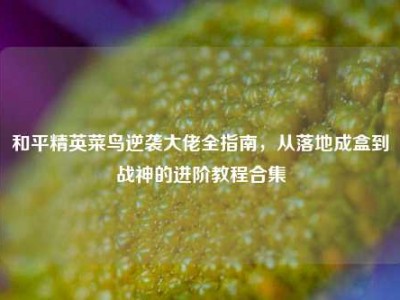 和平精英菜鸟逆袭大佬全指南，从落地成盒到战神的进阶教程合集