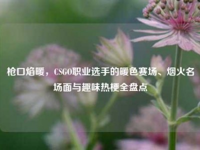枪口焰暖，CSGO职业选手的暖色赛场、烟火名场面与趣味热梗全盘点
