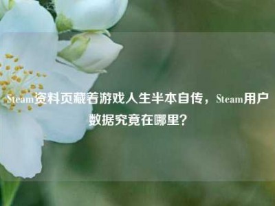 Steam资料页藏着游戏人生半本自传，Steam用户数据究竟在哪里？