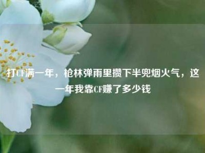 打CF满一年，枪林弹雨里攒下半兜烟火气，这一年我靠CF赚了多少钱