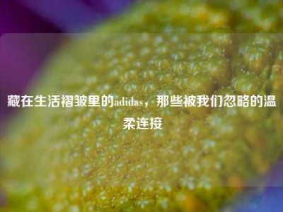 藏在生活褶皱里的adidas，那些被我们忽略的温柔连接