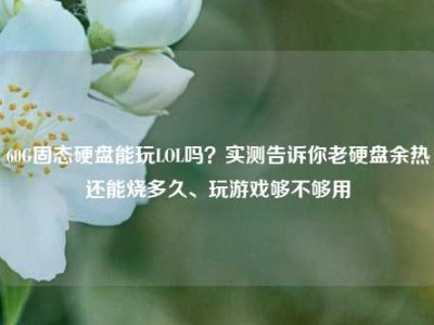 60G固态硬盘能玩LOL吗？实测告诉你老硬盘余热还能烧多久、玩游戏够不够用