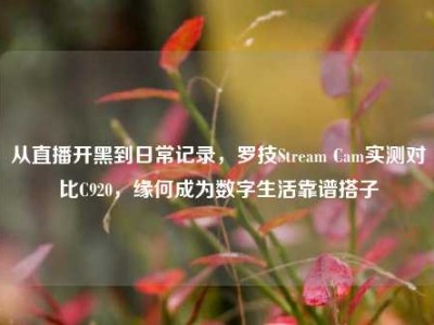 从直播开黑到日常记录，罗技Stream Cam实测对比C920，缘何成为数字生活靠谱搭子