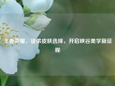 王者荣耀，徒弟皮肤选择，开启峡谷美学新征程